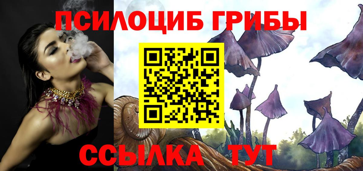 Галлюциногенные грибы MAGIC MUSHROOMS  Галлюциногенные грибы Cubensis  Краснокаменск  Вход с VPN 